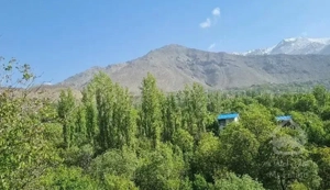 ۳۴۹ متر زمین در امامه