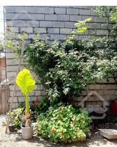 ویلایی بزرگ ضدعفونی شده