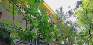 710متر زمین 100متر بنا در دوطبقه سند تک برگ