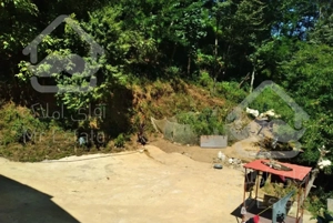 ویلا در دل جنگل با تموم امکانات رفاهی