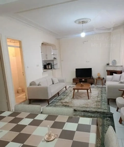 آپارتمان ۵۶ متری/ تک خواب/ آفتاب گیر در عظیمیه