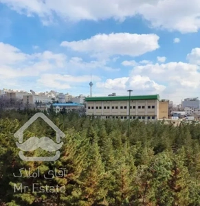 ۵۷متر جهانی نسب