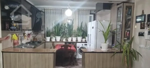 نقلی تک واحدی فوری