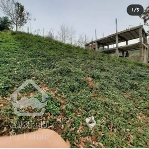 فروش زمین با ویو عالی ، (لاهیجان کوه بیجار)