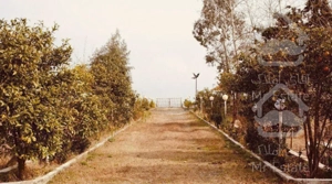 اجاره ویلا با ساحل خصوصی