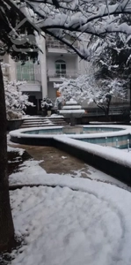 ۳۳۰متر آپارتمان  کلاسیک  فول بازسازی