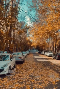 فرصـتی برای خاص پسندان / چـشـم انداز  هـروی