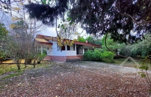 ویلا باغ ۸۵۰ متری چلک / ویو ماندگار جنگل