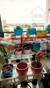 ۱۱۰ متر دو خواب در برج های دیوان محاسبات/چشمه