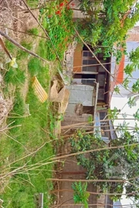 خانه کلنگی با زمین (فروش استثنایی بمدت ۱۰ روز)
