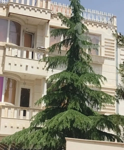 آپارتمان دو خوابه تخلیه شهرک گلستان