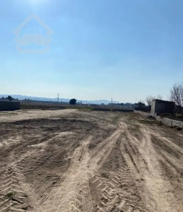 زمین سند دار با مجوز گلخانه تهاتر با آپارتمان