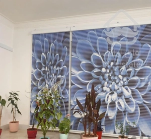 ویلای رویایی، طرح اروپایی