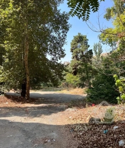 اوین اعرابی ۱۲۳ متر نور ودیدعالی زیر قیمت