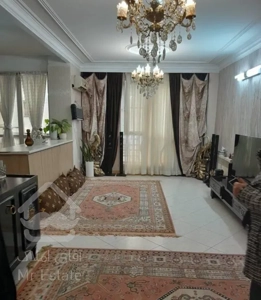 خوش نقشه/نور گیر/مناسب مصرف کننده