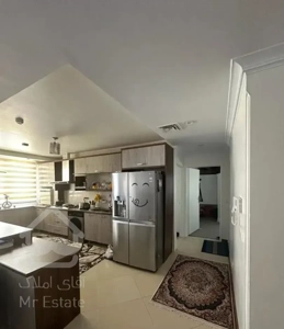 ۲ واحد ۱۰۰ متری/دو طبقه آخر برج/پنت/ویودار/کوهک