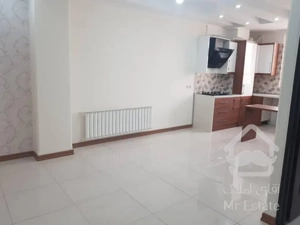 ۶۰ متر / خوش نور و نقشه