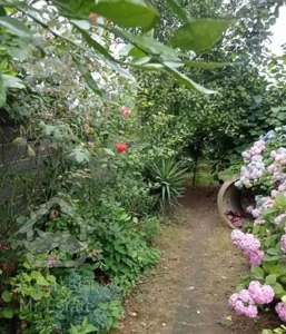 اجاره ویلا باغ دربستی ۵۰۰ متری تازه اباد