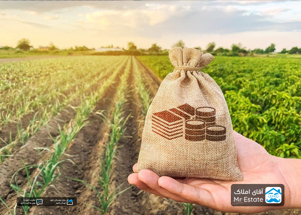 قرارداد اجاره زمین کشاورزی ؛هر آنچه که باید بدانید !