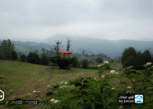 روستای وازیوار ؛روستایی بکر، مناسب برای سکونت و خرید ویلا