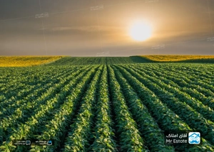 با انواع کاربری های زمین بیشتر آشنا شوید!