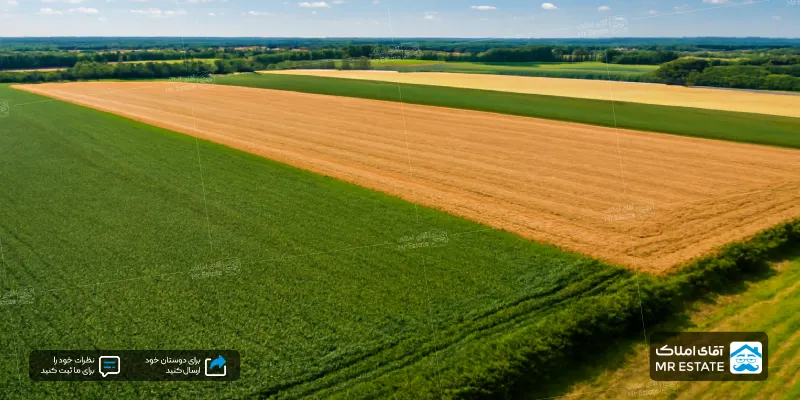 زمین با کاربری کشاورزی