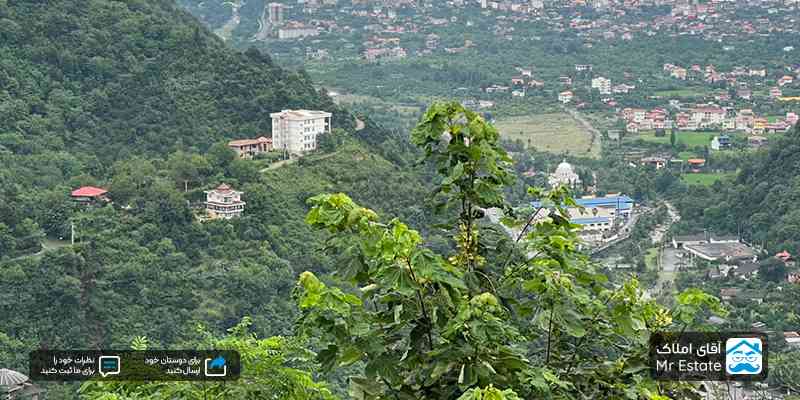 قیمت خرید ویلا جنگلی