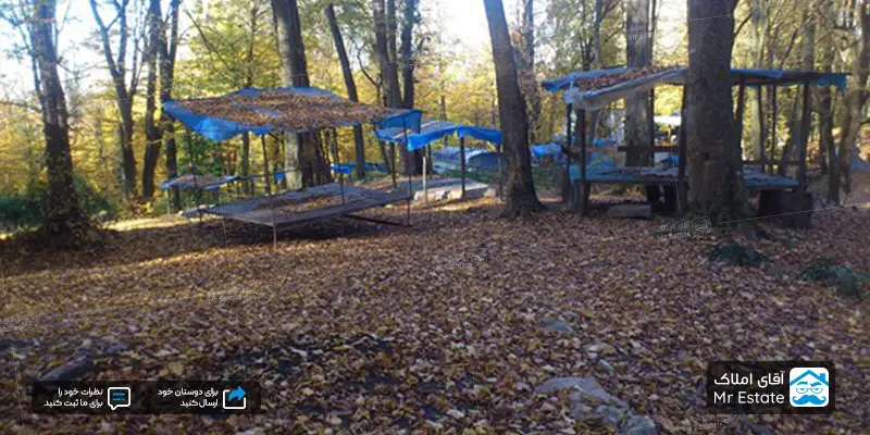 معرفی جاهای دیدنی خلیل‌ شهر