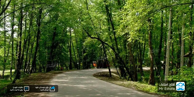 جاهای دیدنی سیاهرود مازندران