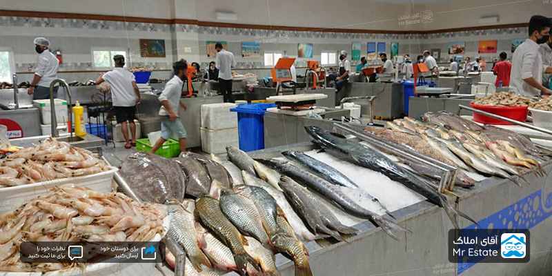 بازار ماهی کیش کجاست